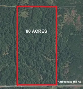 80 Acres Hunting/Recreation Land