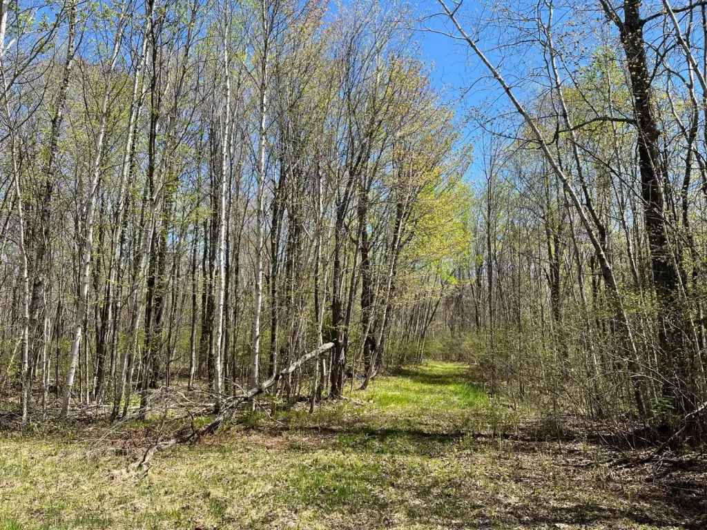 Picture 15
