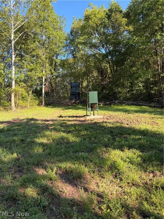 Picture 7