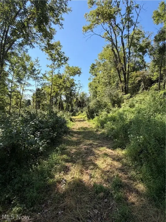 Picture 17
