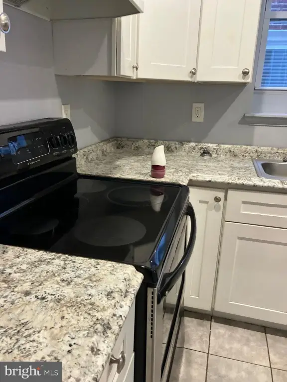 Picture 23