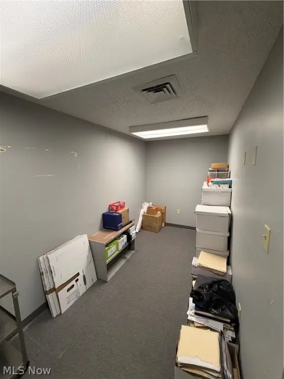 Picture 13
