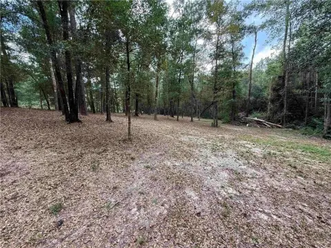 Unrestricted Land in Baldwin County