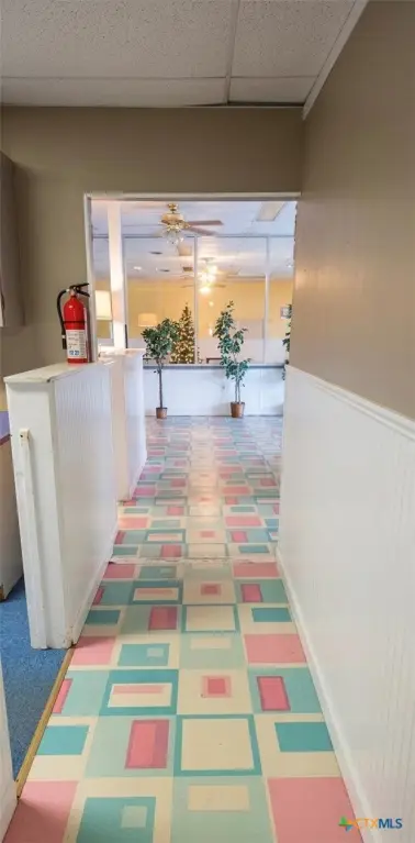 Picture 6