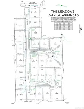 Oversized Lot in Manila Subdivision