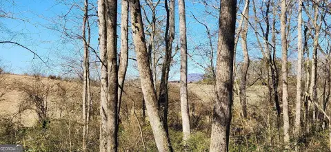 17.6 Acres in North Hall