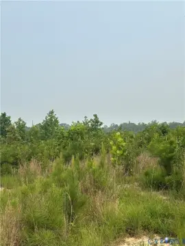 Hunting Land with Natural Regrowth
