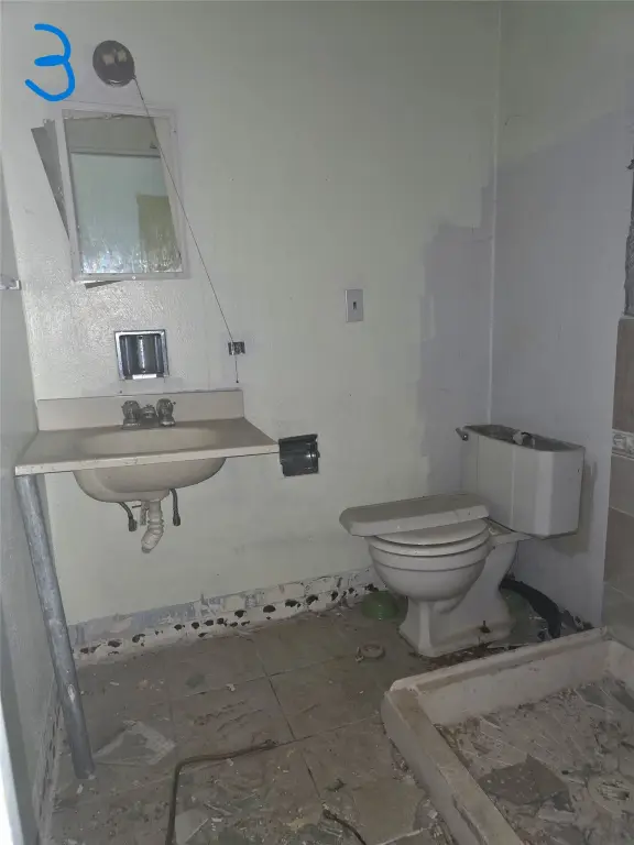 Picture 11