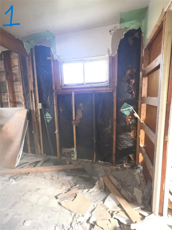Picture 16