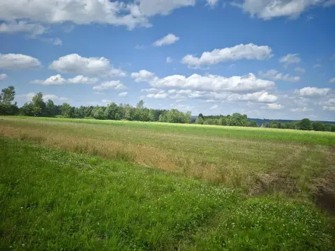 Hunting and Recreational Land Parcel
