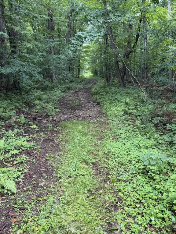 Picture 10