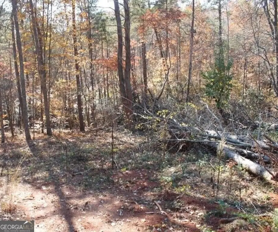 Picture 15