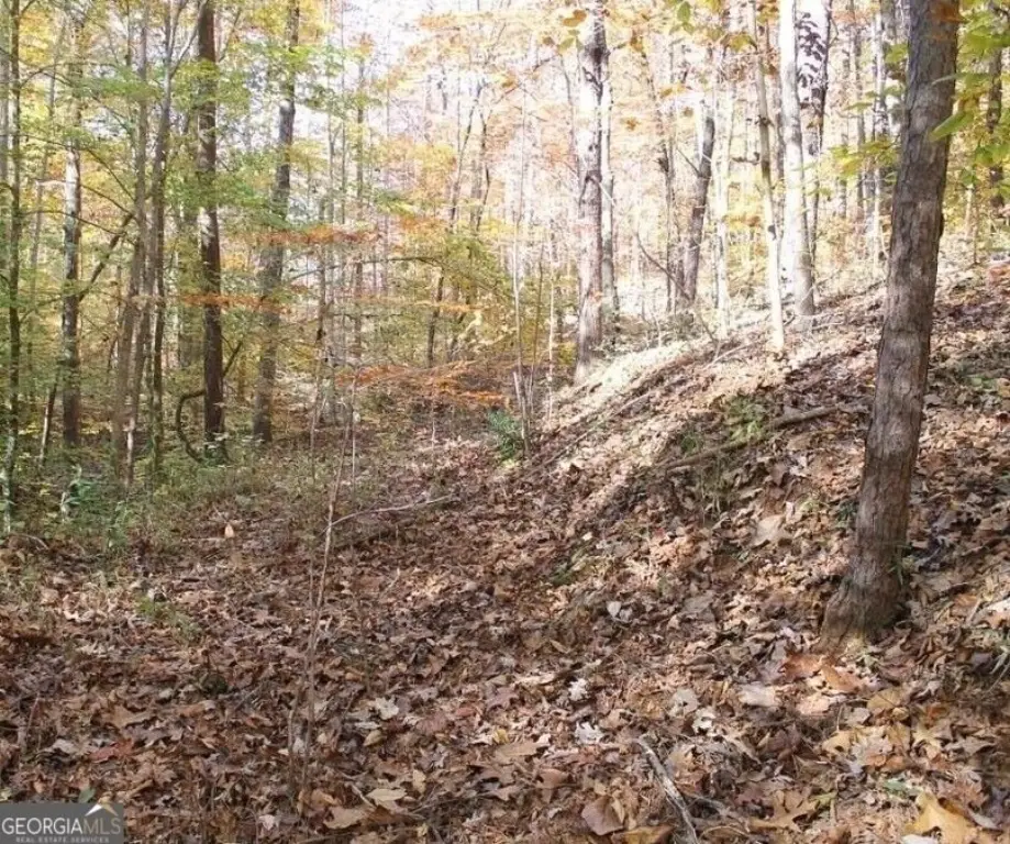 Picture 13