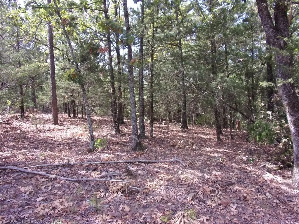 Picture 8