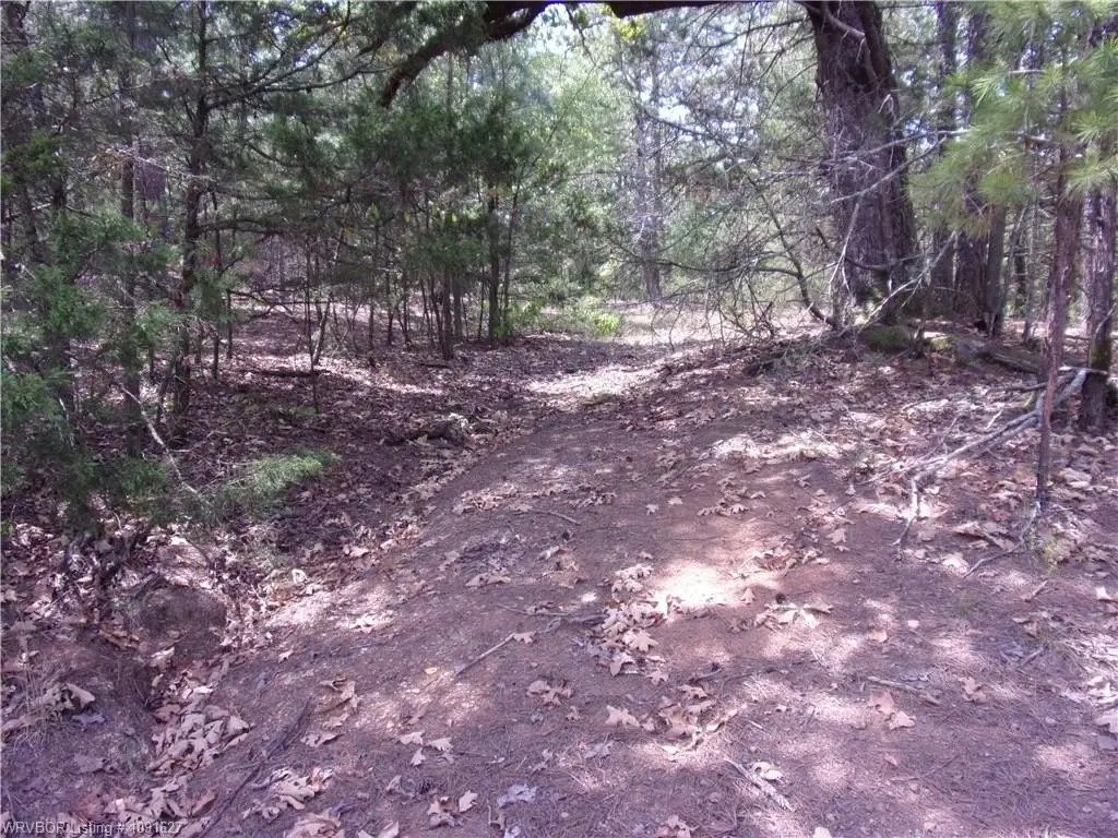 Picture 7