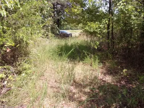 Wooded Hunting Land with Ponds