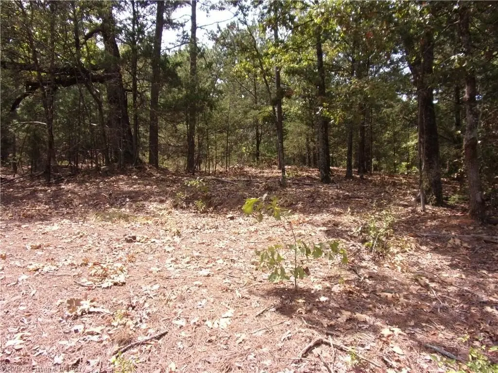 Picture 5