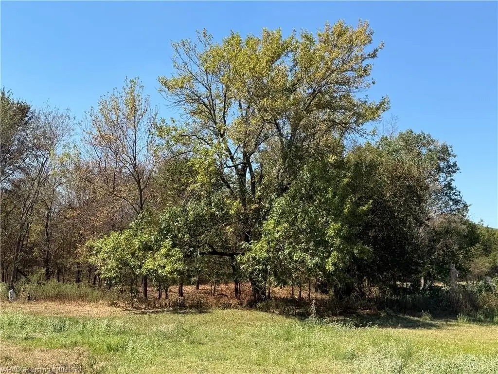 Picture 26
