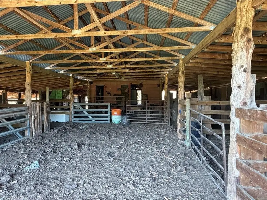 Picture 21