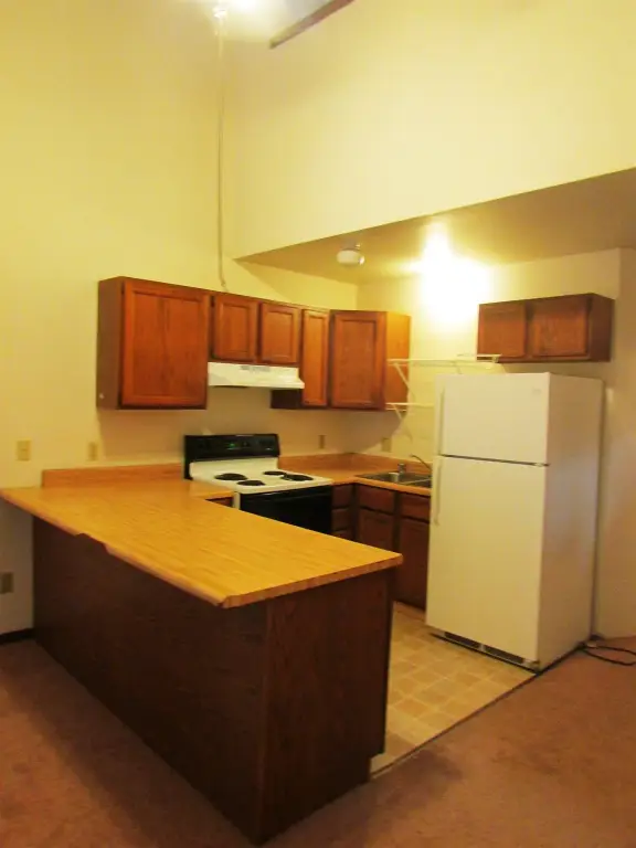 Picture 15