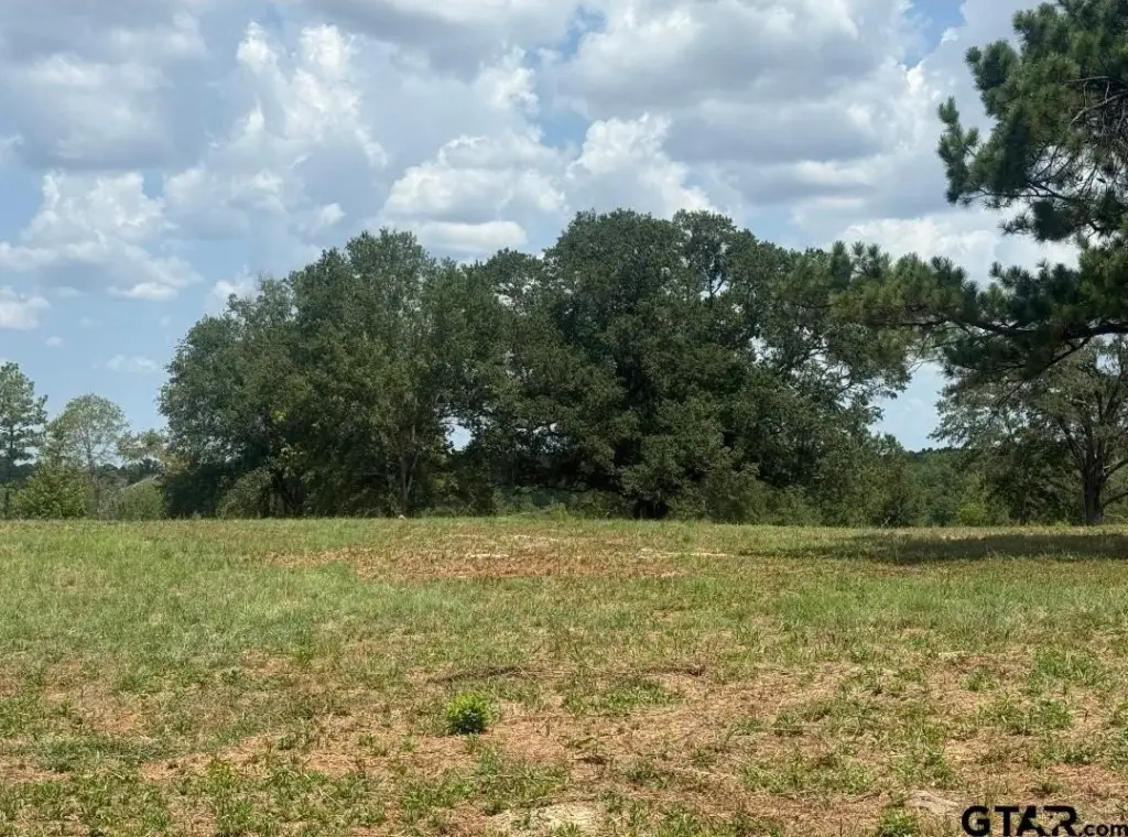 Picture 10