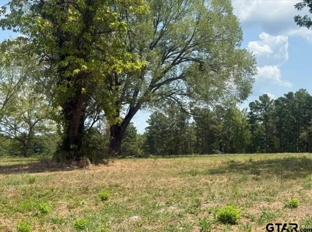 Picture 11