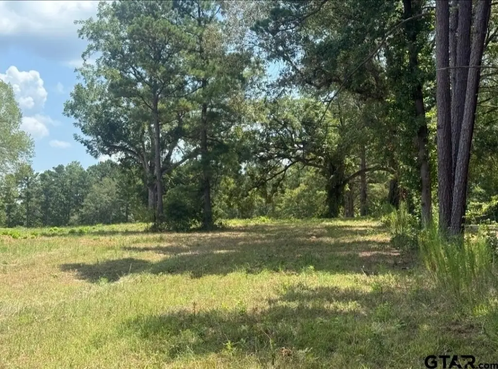 Picture 13