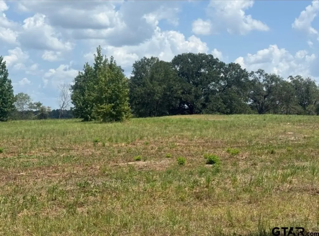 Picture 15