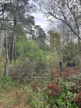 Level Acres East of Bandon