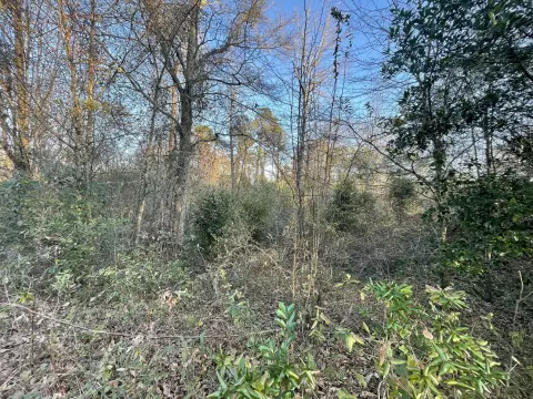 Wooded Corner Lot Available