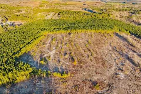 Versatile Land Parcel in Salley