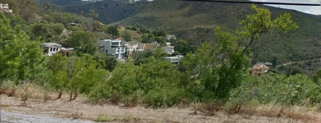 Picture 5
