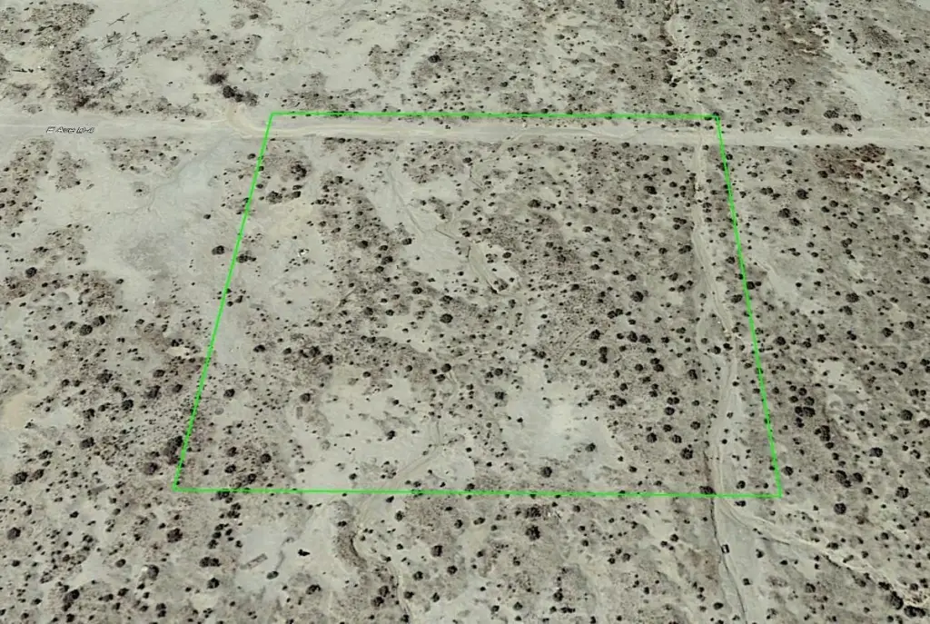 Picture 5