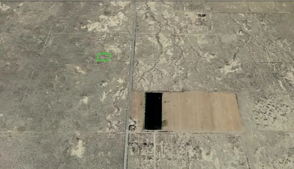 Picture 6