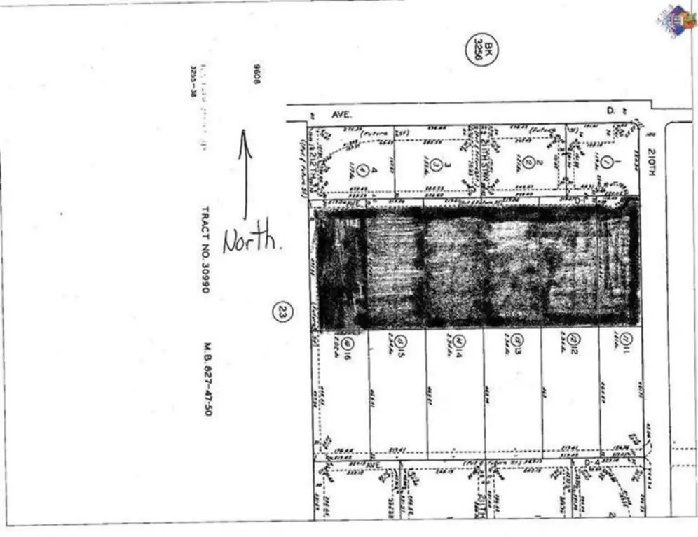 Picture 6