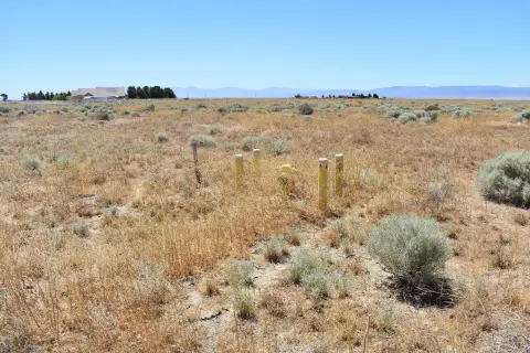 Lancaster Acreage for Custom Home