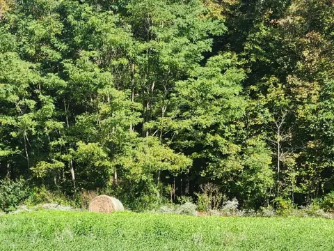 Milan Acreage for Residential/Recreational Use