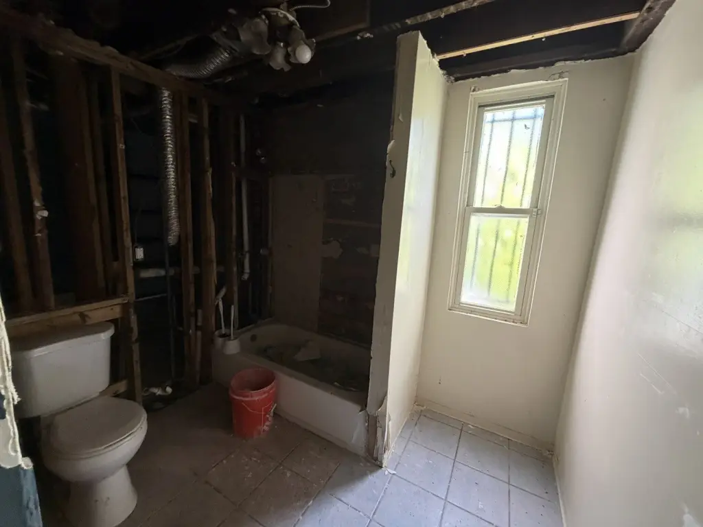 Picture 5