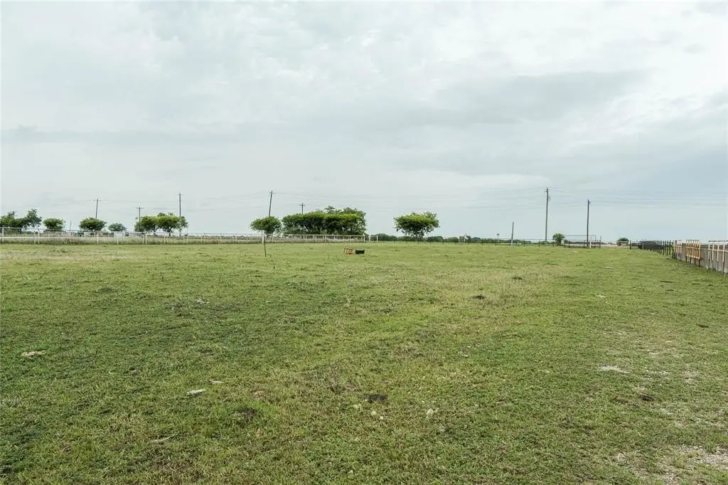 Picture 17