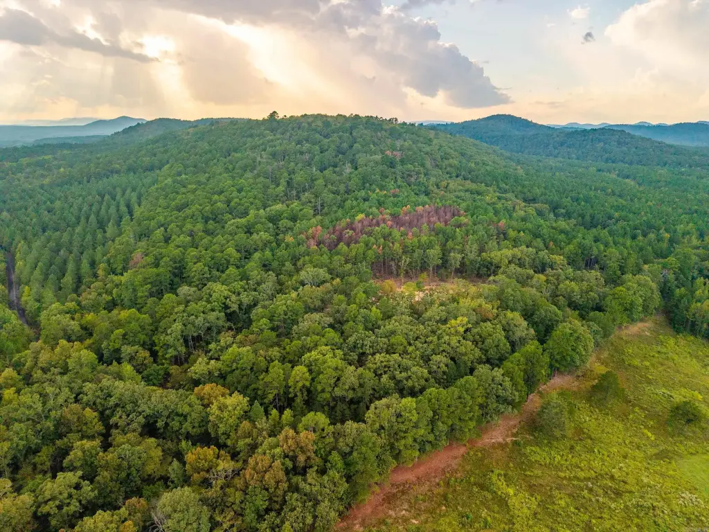 Picture 9