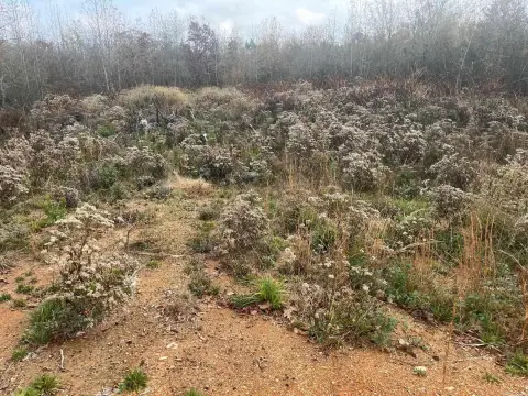 Residential Lot in Creekside Subdivision