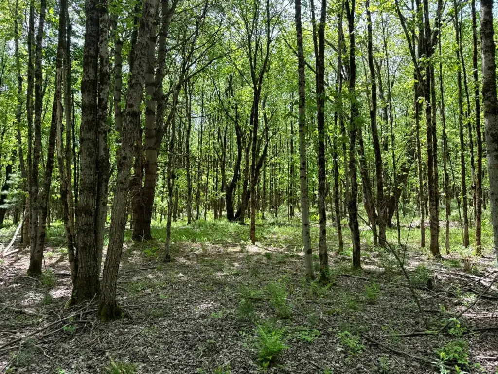 Picture 3