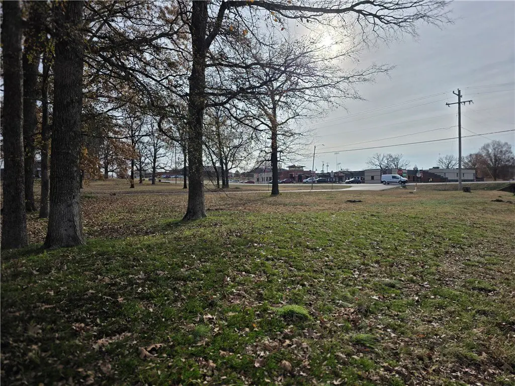 Picture 5