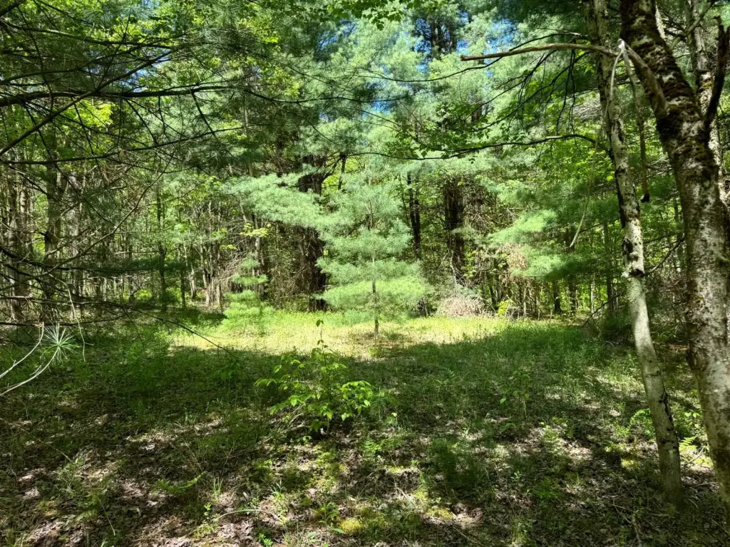 Picture 6
