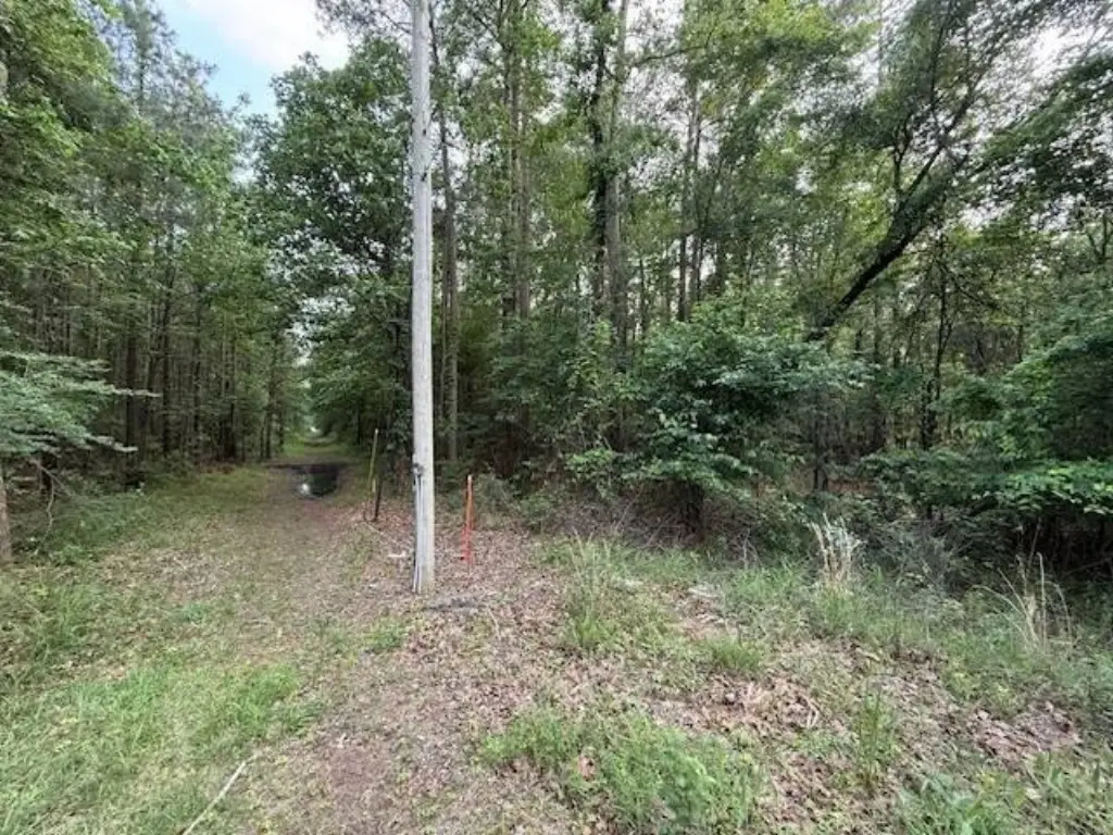 Picture 13