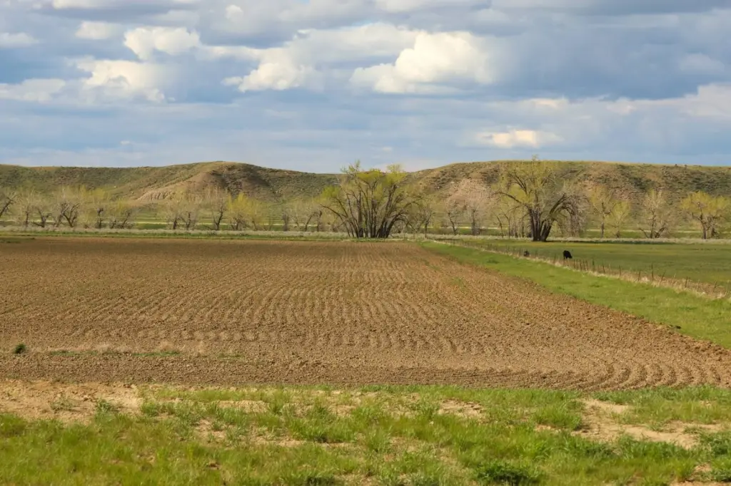Picture 19