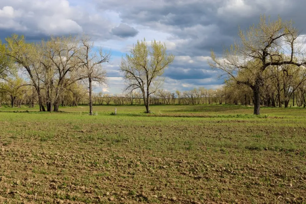 Picture 28