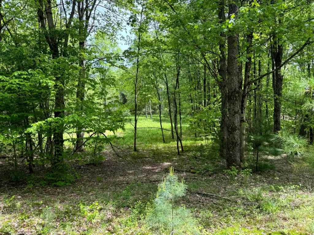 Picture 16