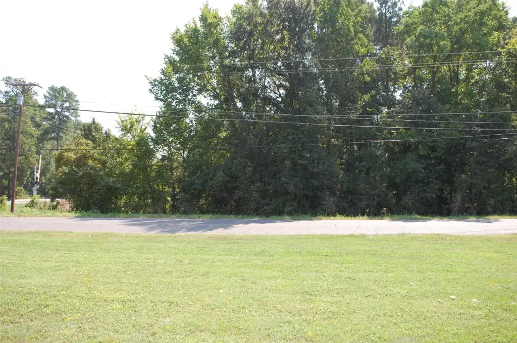 Picture 8