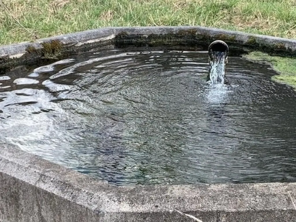 Picture 15